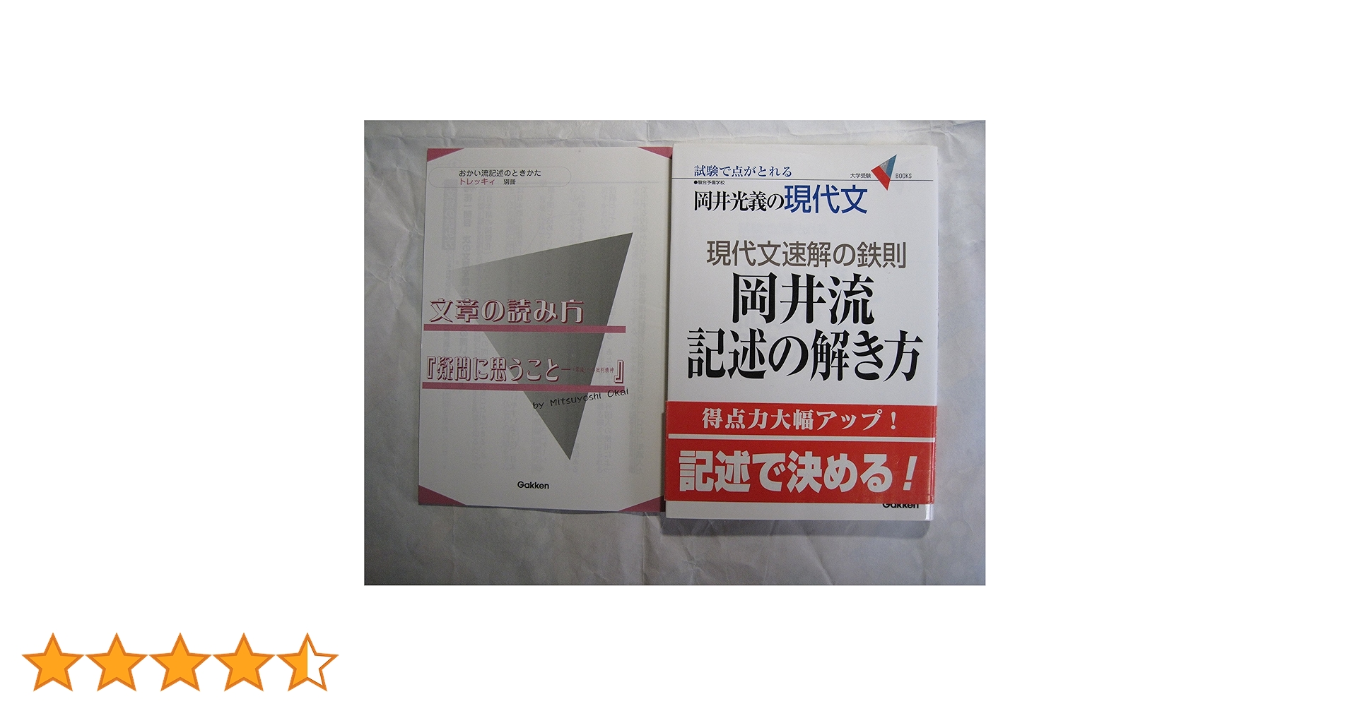 岡井光義の現代文 岡井流記述の解き方―現代文速解の鉄則 (大学